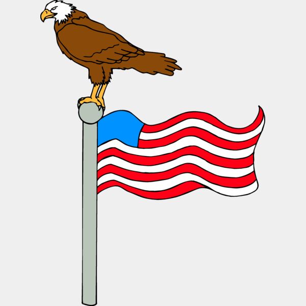 EAGLENFLAG1 Thumbnail