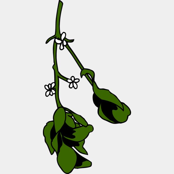 mistletoe2 Thumbnail