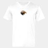 Ringspun Cotton Soft Style T-Shirt Thumbnail